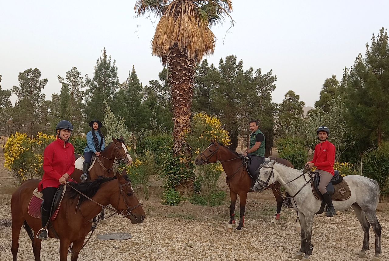 باشگاه سوارکاری شهر اسب